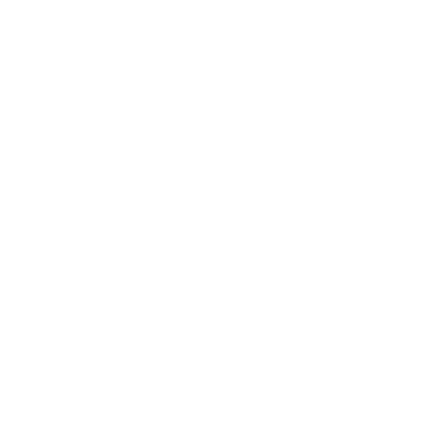 Auris Pizza loading=